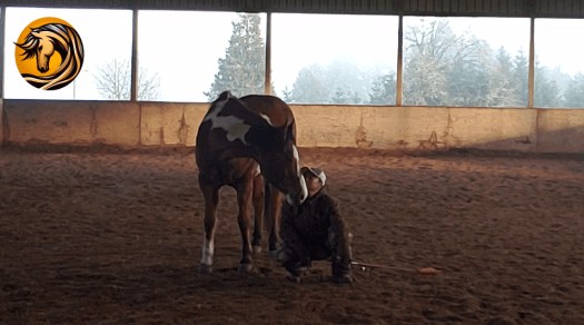 Horsing Around 2023 December&nbsp;21